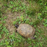 Review photo of Susquehanna State Park Campground by Gabrielle E., June 24, 2018