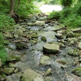 Review photo of Susquehanna State Park Campground by Gabrielle E., June 24, 2018