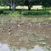 Review photo of Susquehanna State Park Campground by Gabrielle E., June 24, 2018