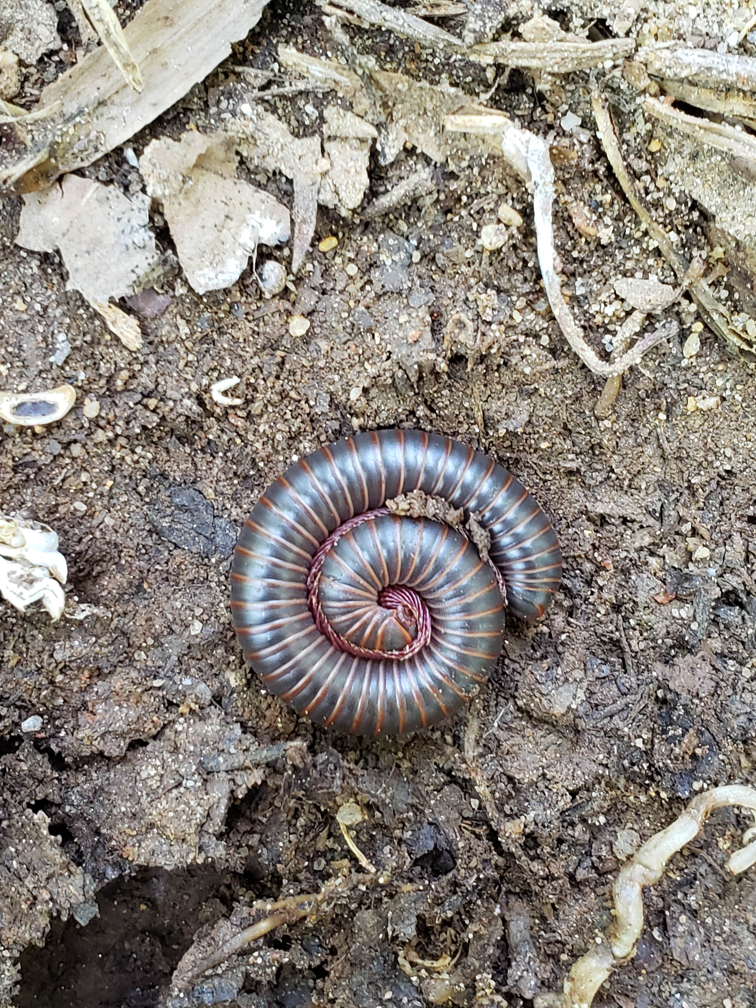 Camper-submitted photo at Patapsco Valley State Park-Hilton Area near Chevy Chase, MD
