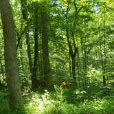 Review photo of Patapsco Valley State Park-Hilton Area by Gabrielle E., June 24, 2018