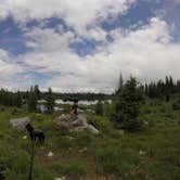 Review photo of Bridger-Teton National Forest by Veronica S., June 24, 2018