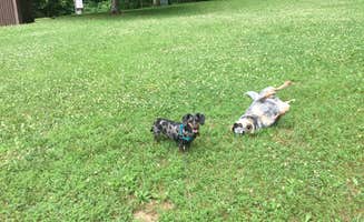 Shelly S.'s photo of camping with pets at Oak Point Campground near Metropolis, IL