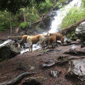 Review photo of Pine Creek Campground by Scottie C., June 24, 2018