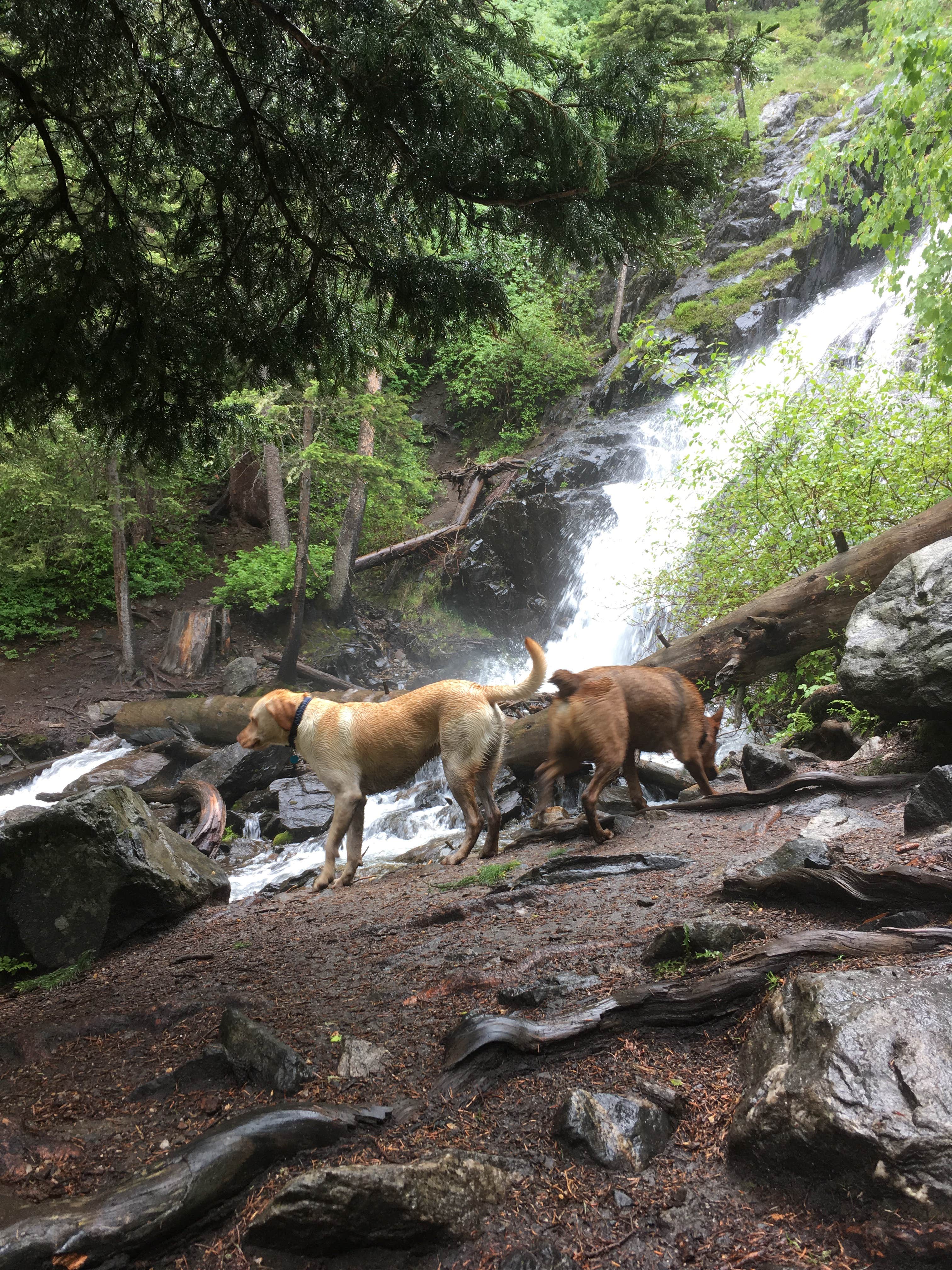 Camper submitted image from Pine Creek Campground - 4