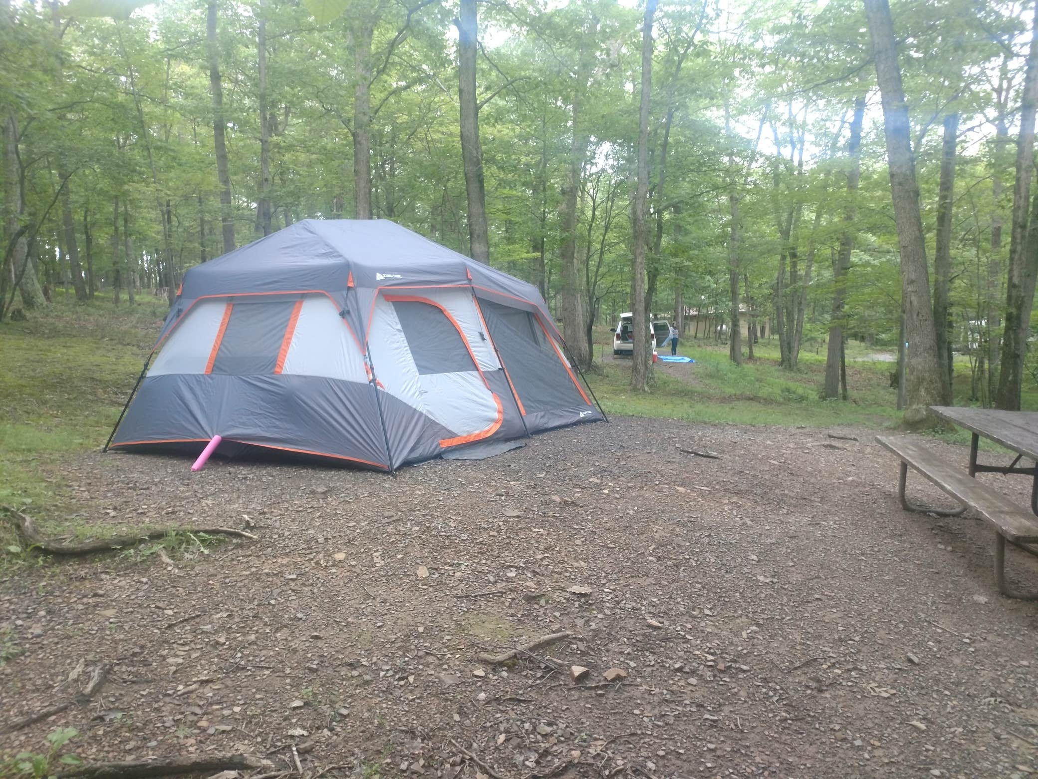 Sarah K.'s photo at Rocky Gap State Park Campground near Cumberland, MD