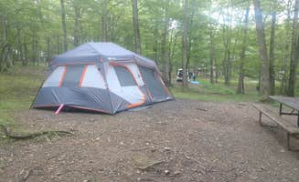 Sarah K.'s photo at Rocky Gap State Park Campground in Maryland