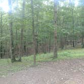 Review photo of Rocky Gap State Park Campground by Sarah K., June 24, 2018