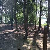 Review photo of Chickahominy Riverfront Park by Trina C., June 24, 2018