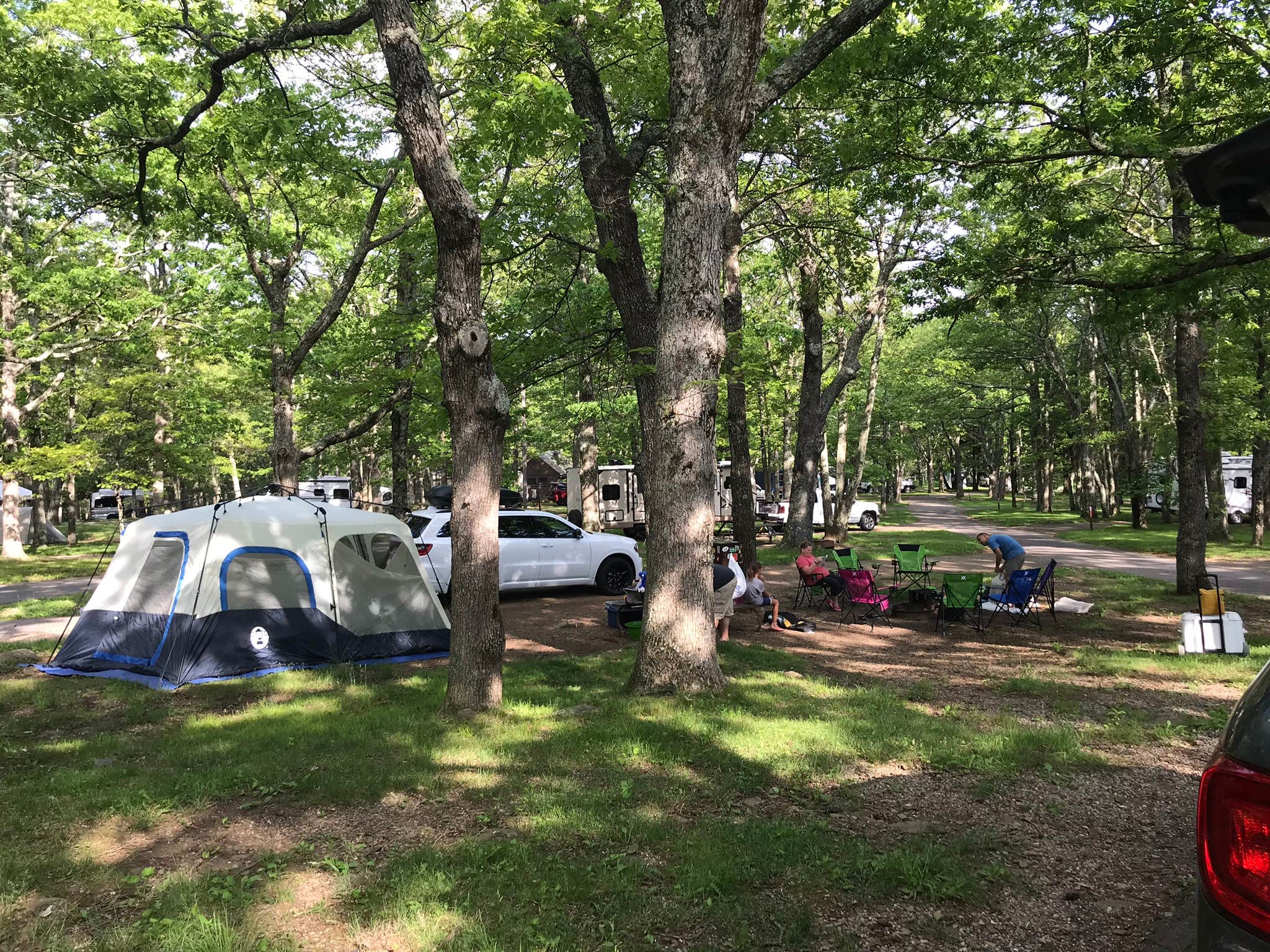 Natalie B.'s photo at Big Meadows Campground — Shenandoah National Park near Dyke, VA