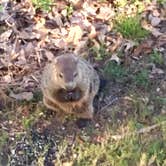 Review photo of Anvil Campground by Trina C., June 24, 2018