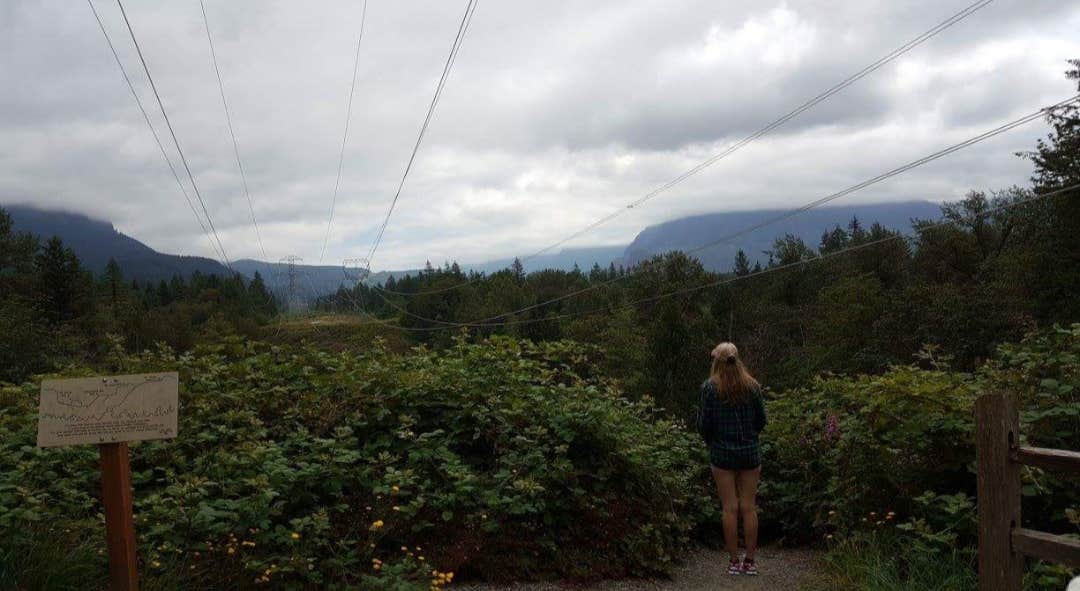 Camper-submitted photo at Wallace Falls State Park Campground near Mt. Baker-Snoqualmie National Forest