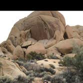Review photo of Jumbo Rocks Campground — Joshua Tree National Park by Shelley V., June 24, 2018