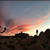 Review photo of Jumbo Rocks Campground — Joshua Tree National Park by Shelley V., June 24, 2018