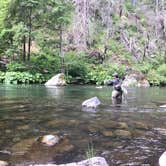 Review photo of Cattle Camp Campground by Jill G., June 24, 2018