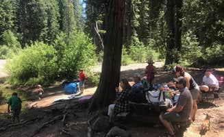 Jill G.'s photo at Cattle Camp Campground near McCloud, CA