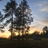 Review photo of Fr 171 Campground by Tally I., June 24, 2018