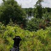 Review photo of Paint Rock Springs Campground — St. Croix State Park by Lily M., June 25, 2018