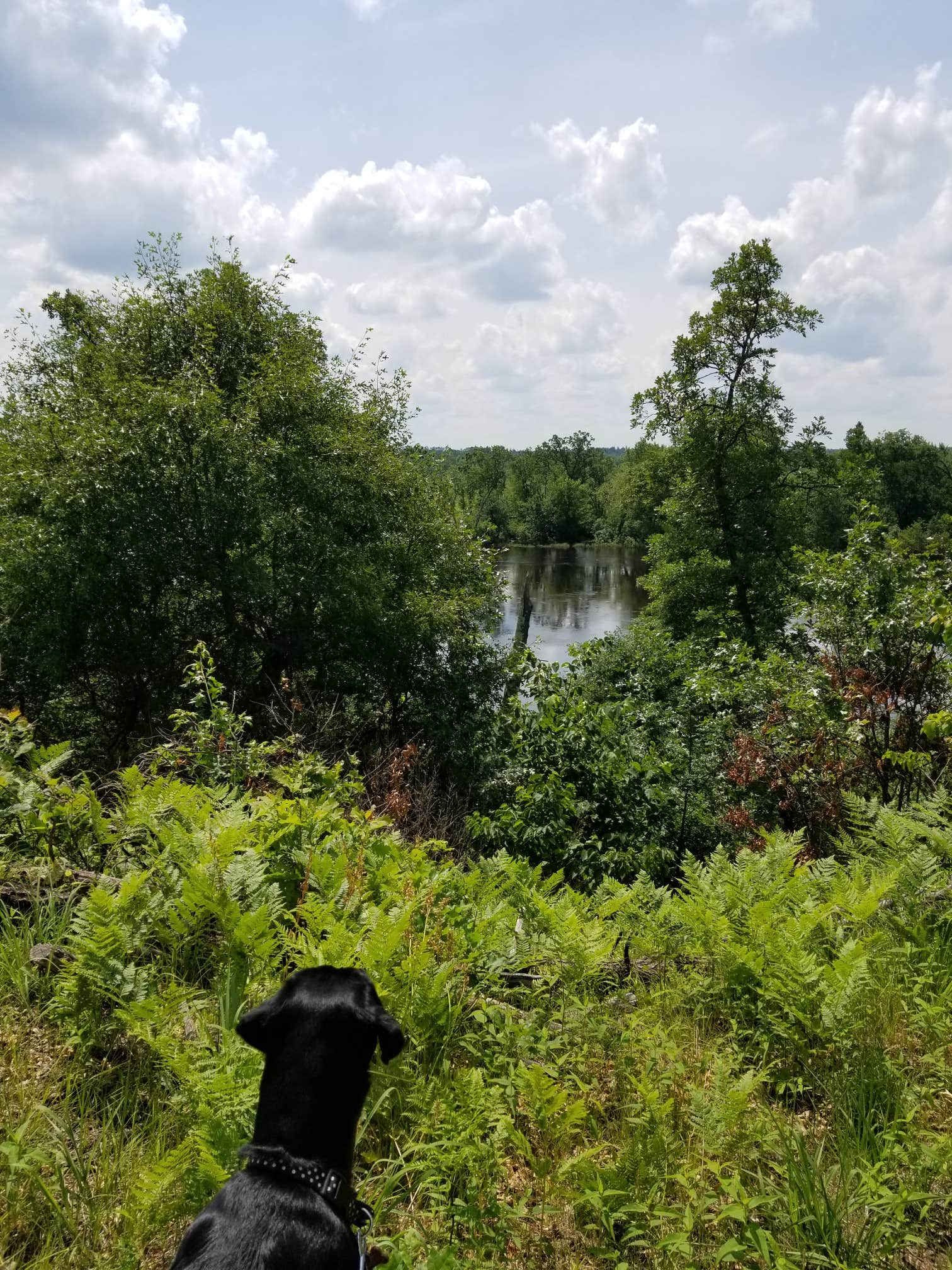 Camper submitted image from Paint Rock Springs Campground — St. Croix State Park - 1