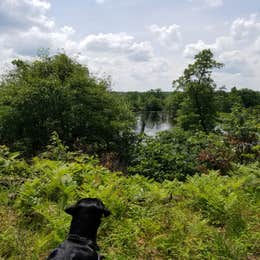 Paint Rock Springs Campground — St. Croix State Park