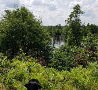 Camper-submitted photo from Paint Rock Springs Campground — St. Croix State Park