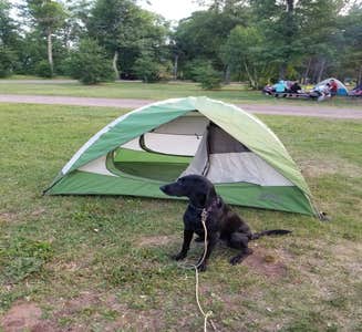 Camper-submitted photo from Paint Rock Springs Campground — St. Croix State Park