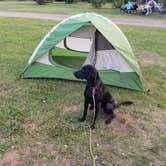 Review photo of Paint Rock Springs Campground — St. Croix State Park by Lily M., June 25, 2018