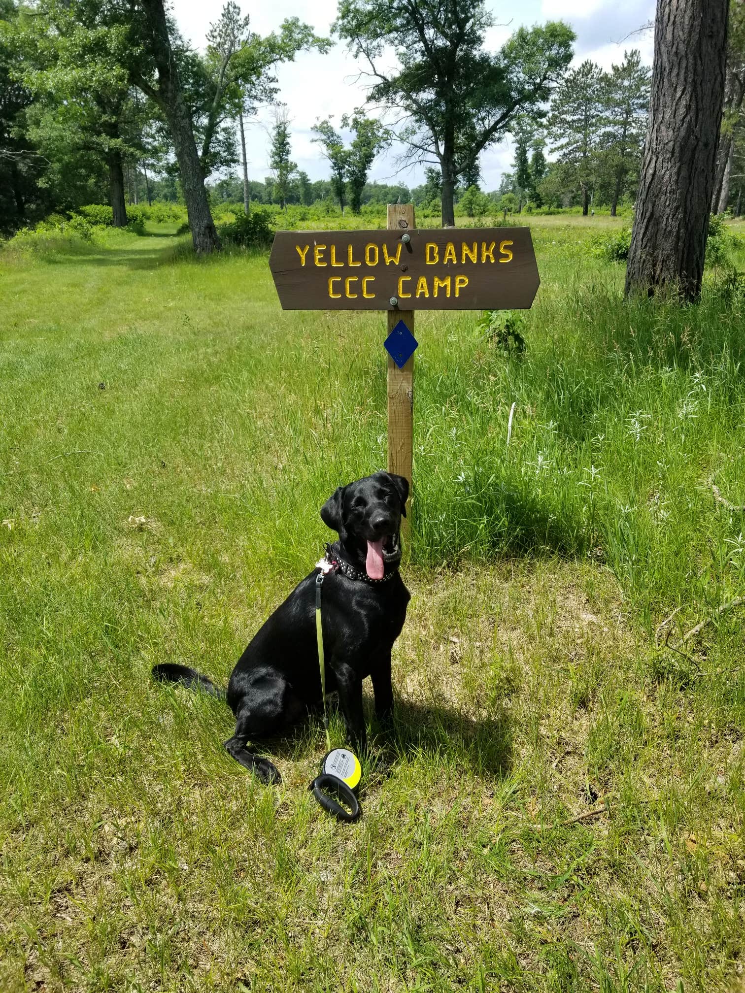 Camper-submitted photo at Paint Rock Springs Campground — St. Croix State Park near Saint Croix National Scenic River