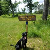 Review photo of Paint Rock Springs Campground — St. Croix State Park by Lily M., June 25, 2018