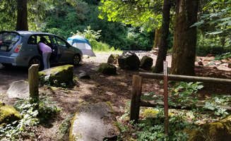 VIKKY S.'s photo at Porter Creek near Malone, WA