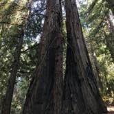 Review photo of Austin Creek State Rec Area by Marc A., June 25, 2018