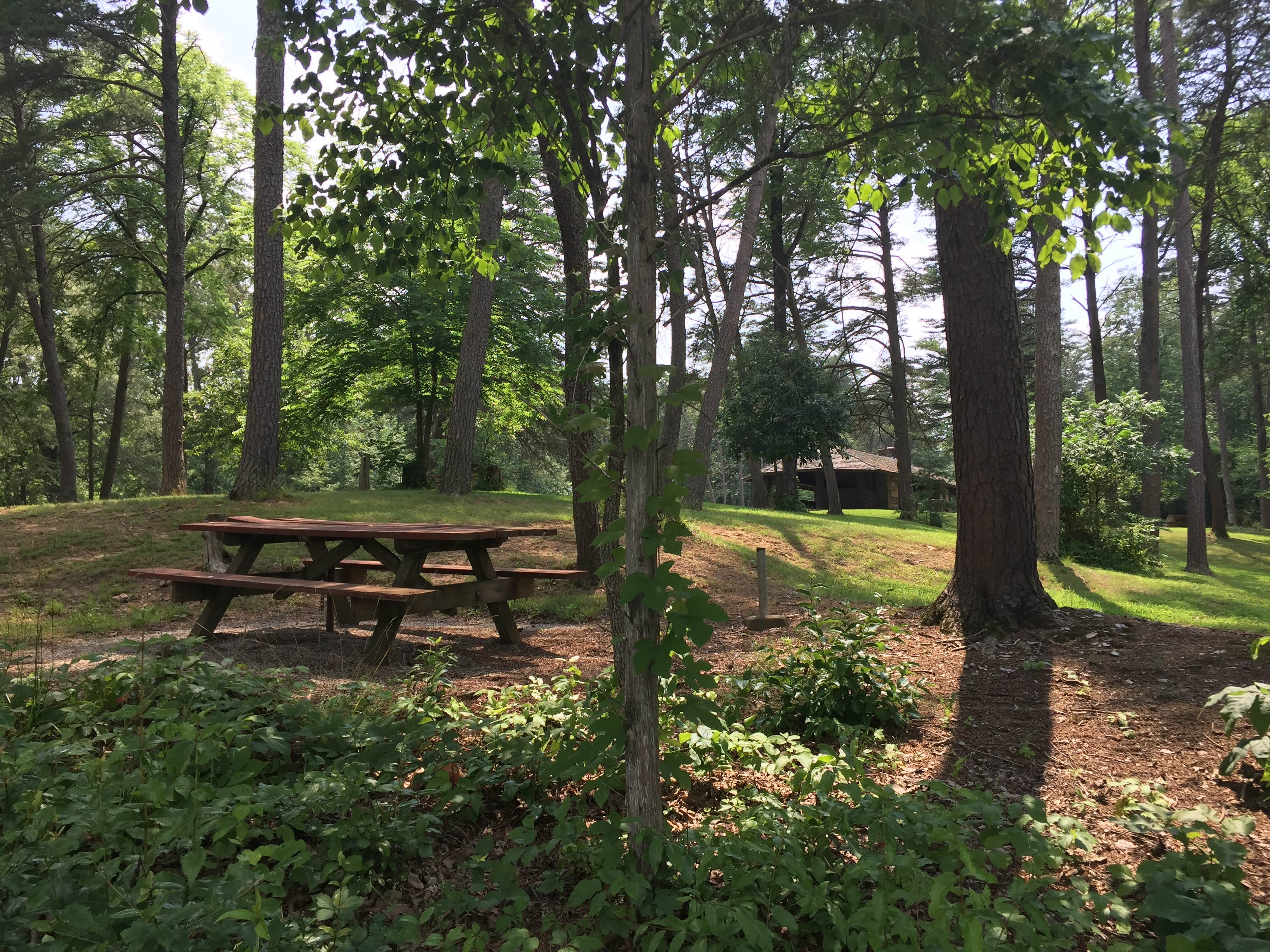 Camper-submitted photo at Lake Glendale Recreation Area near Stonefort, IL