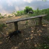 Review photo of Lake Glendale Recreation Area by Shelly S., June 25, 2018