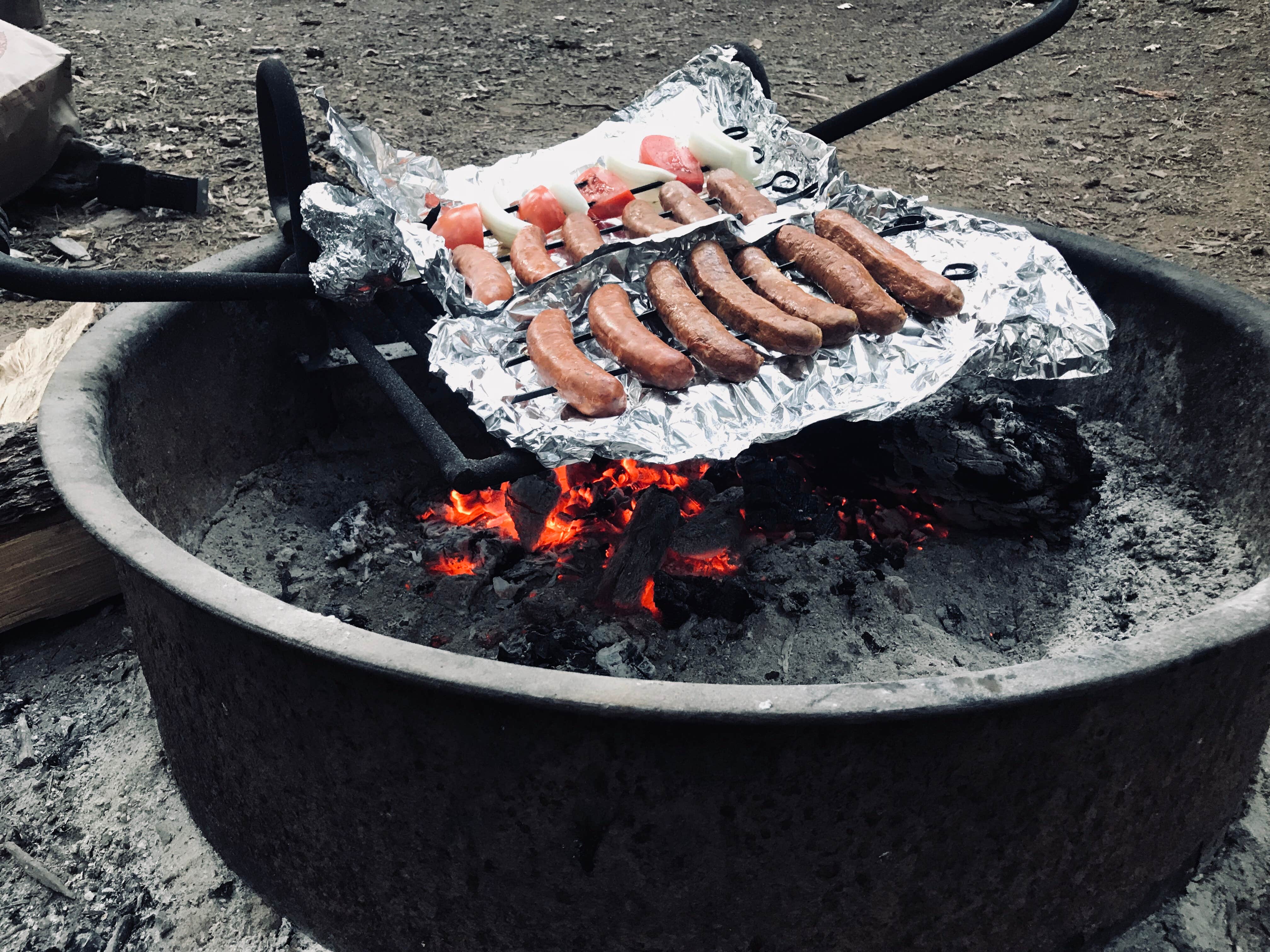 Camper submitted image from Fuller Grove Group Campground - 4