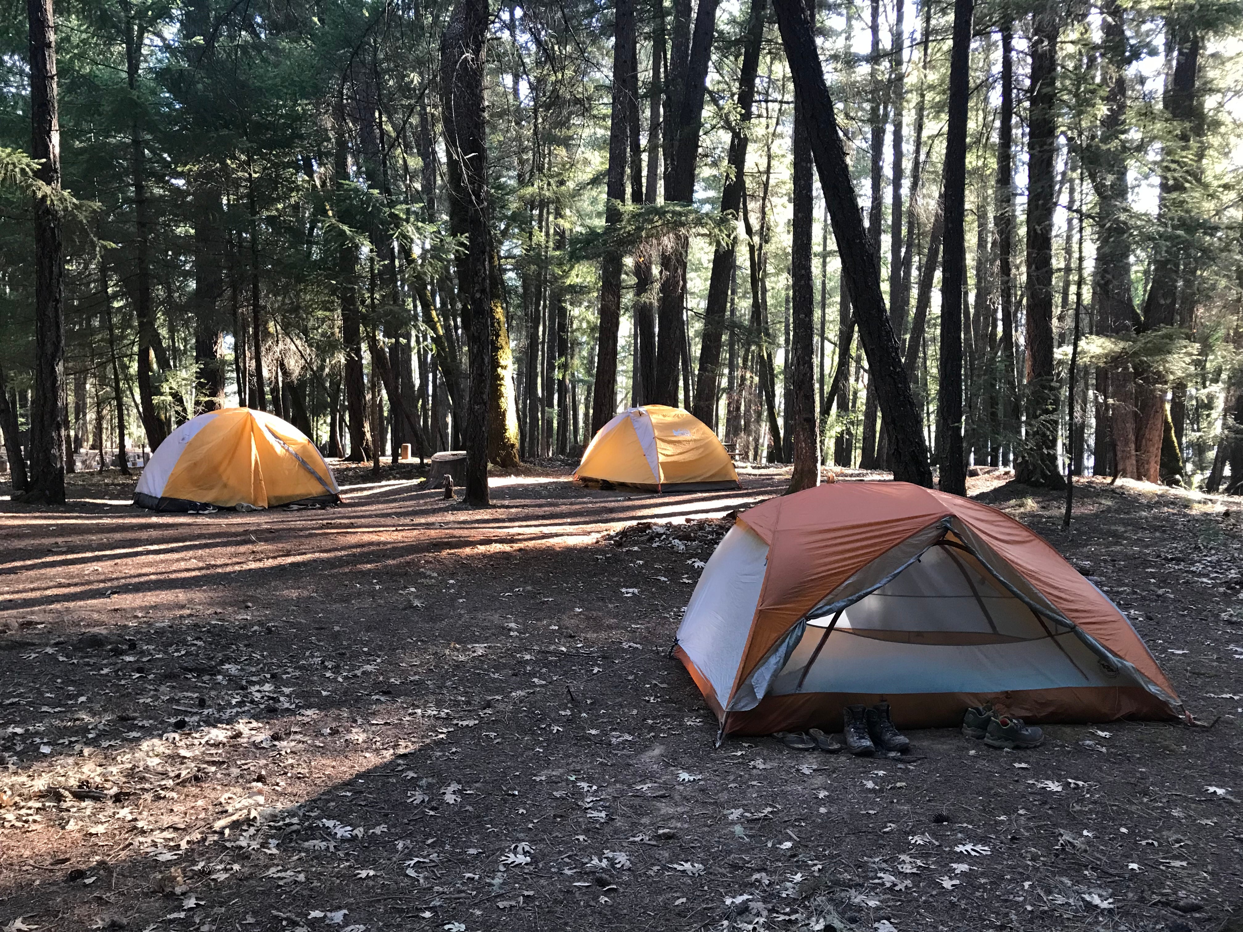 Camper submitted image from Fuller Grove Group Campground - 4