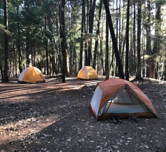 Camper-submitted photo from Fuller Grove Group Campground