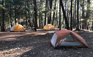 Marc A.'s photo at Fuller Grove Group Campground near Mendocino National Forest