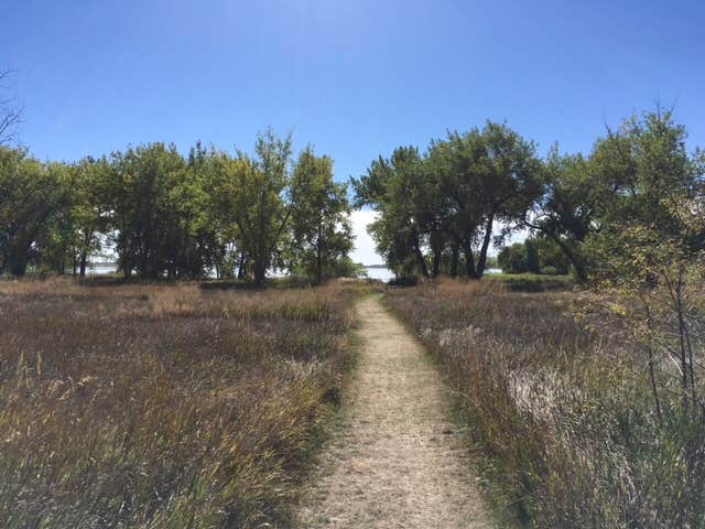 Camper submitted image from Cottonwood Campground — Boyd Lake State Park - 3