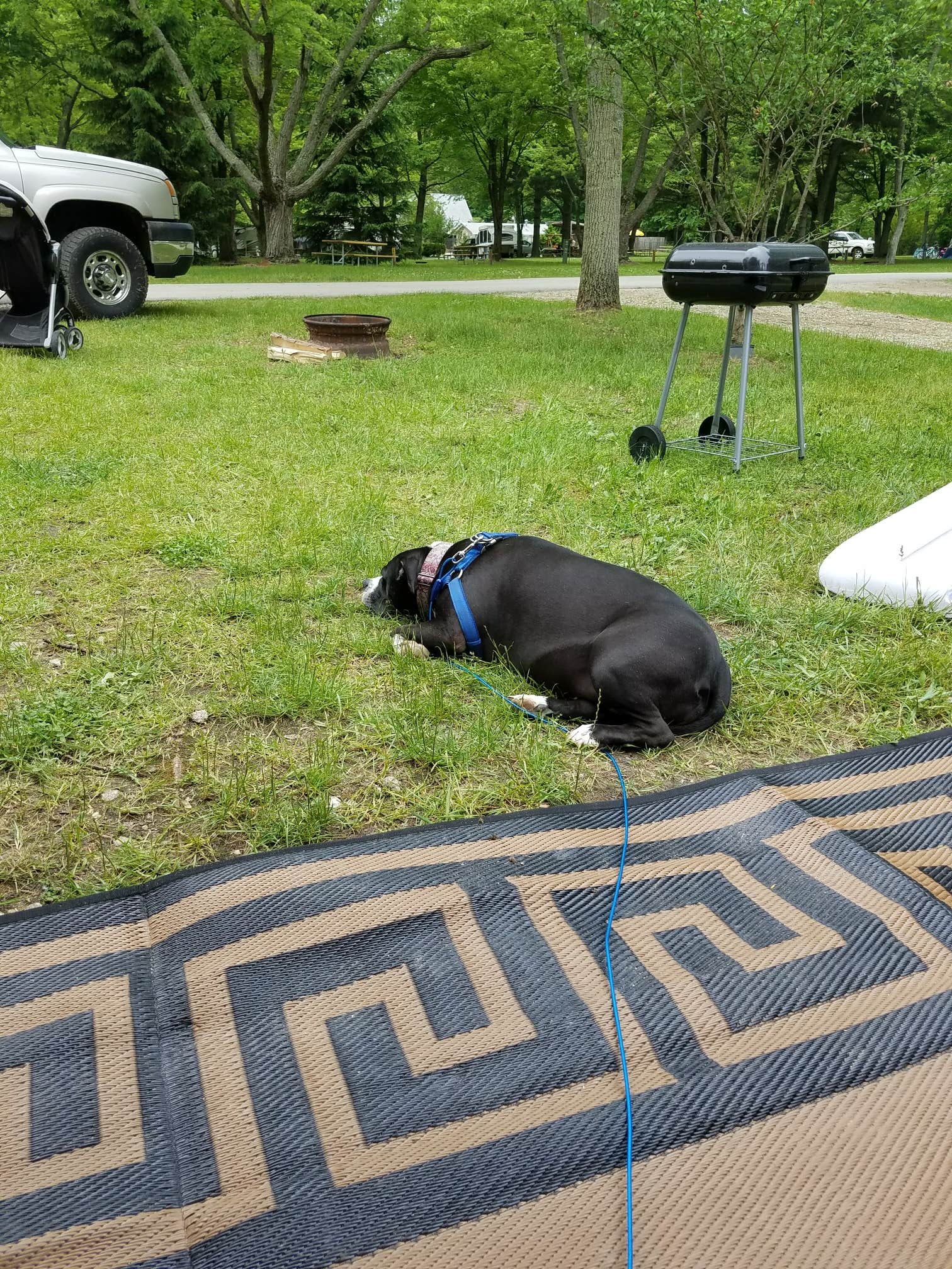 Camper-submitted photo at Coloma/St. Joseph KOA Holiday near Niles, MI