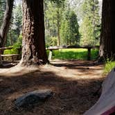 Review photo of Sentinel Campground — Kings Canyon National Park by Philip R., June 25, 2018