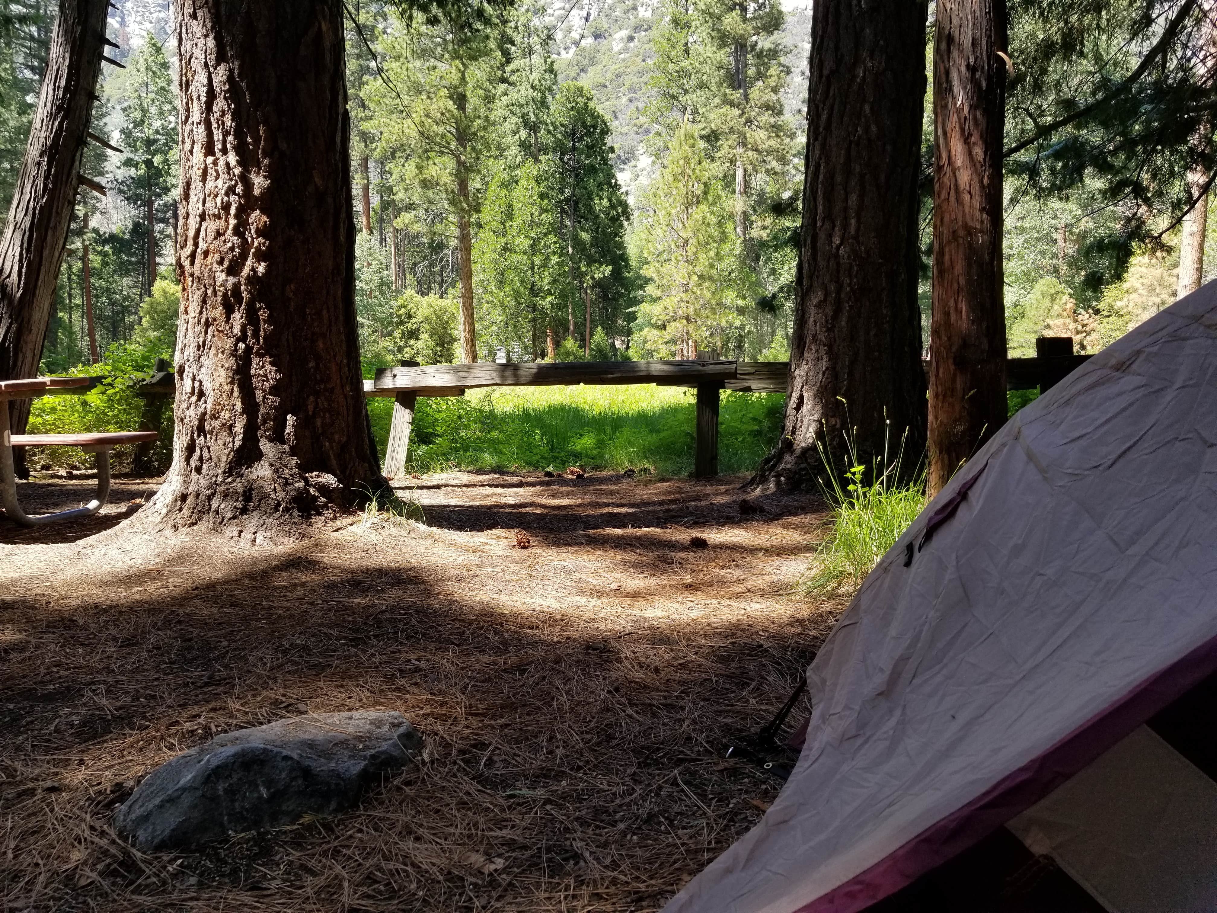 Camper submitted image from Sentinel Campground — Kings Canyon National Park - 2