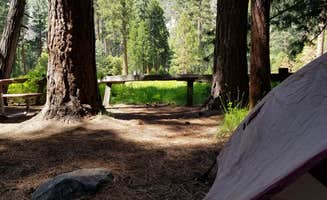 Philip R.'s photo at Sentinel Campground — Kings Canyon National Park near Sequoia & Kings Canyon National Parks