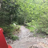 Review photo of Denny Creek Campground by Alicia V., June 25, 2018