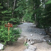 Review photo of Colonial Creek South Campground — Ross Lake National Recreation Area by Alicia V., June 25, 2018