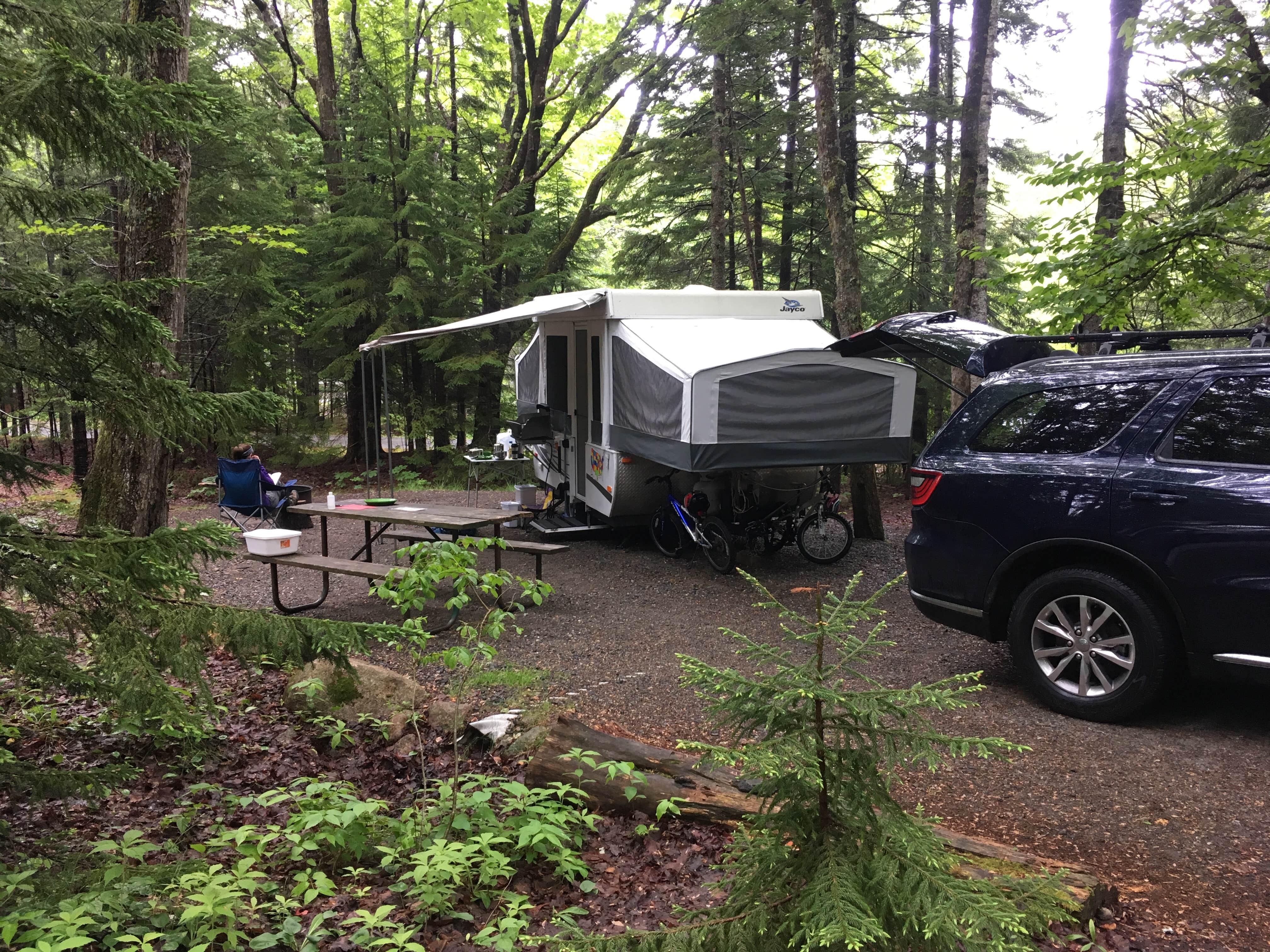 Thomas M.'s photo at Blackwoods Campground — Acadia National Park near Acadia National Park