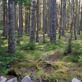 Review photo of Blackwoods Campground — Acadia National Park by Thomas M., June 25, 2018