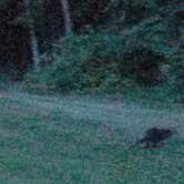 Review photo of Findley State Park Campground by Patricia S. (sandy) R., June 25, 2018