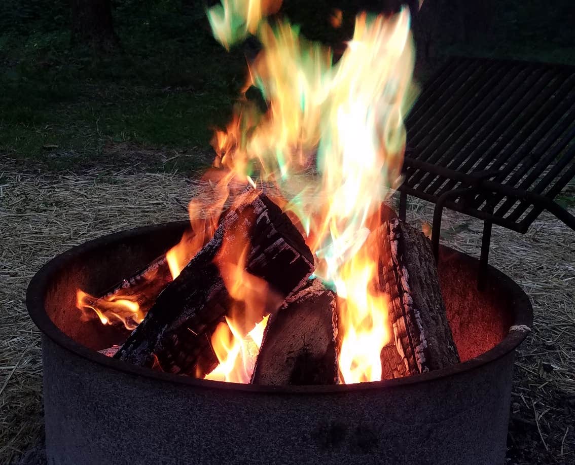 Camper submitted image from Findley State Park Campground - 4