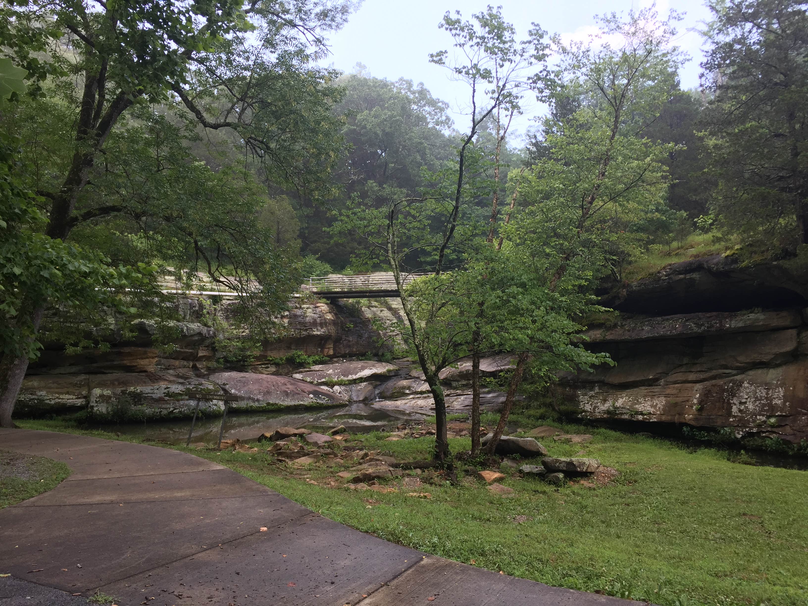 Camper submitted image from Dixon Springs State Park Campground - 1