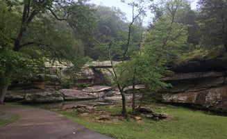 Camper-submitted photo from Dixon Springs State Park